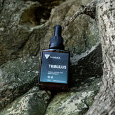 Tribulus Tincture: Liquid Herbal Extract